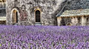 1064987_10201130231930817_662308757_o